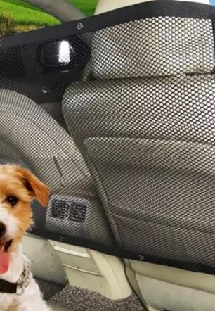 Car car isolation network Pet isolation network Dog isolation fence Prevent children from disturbing